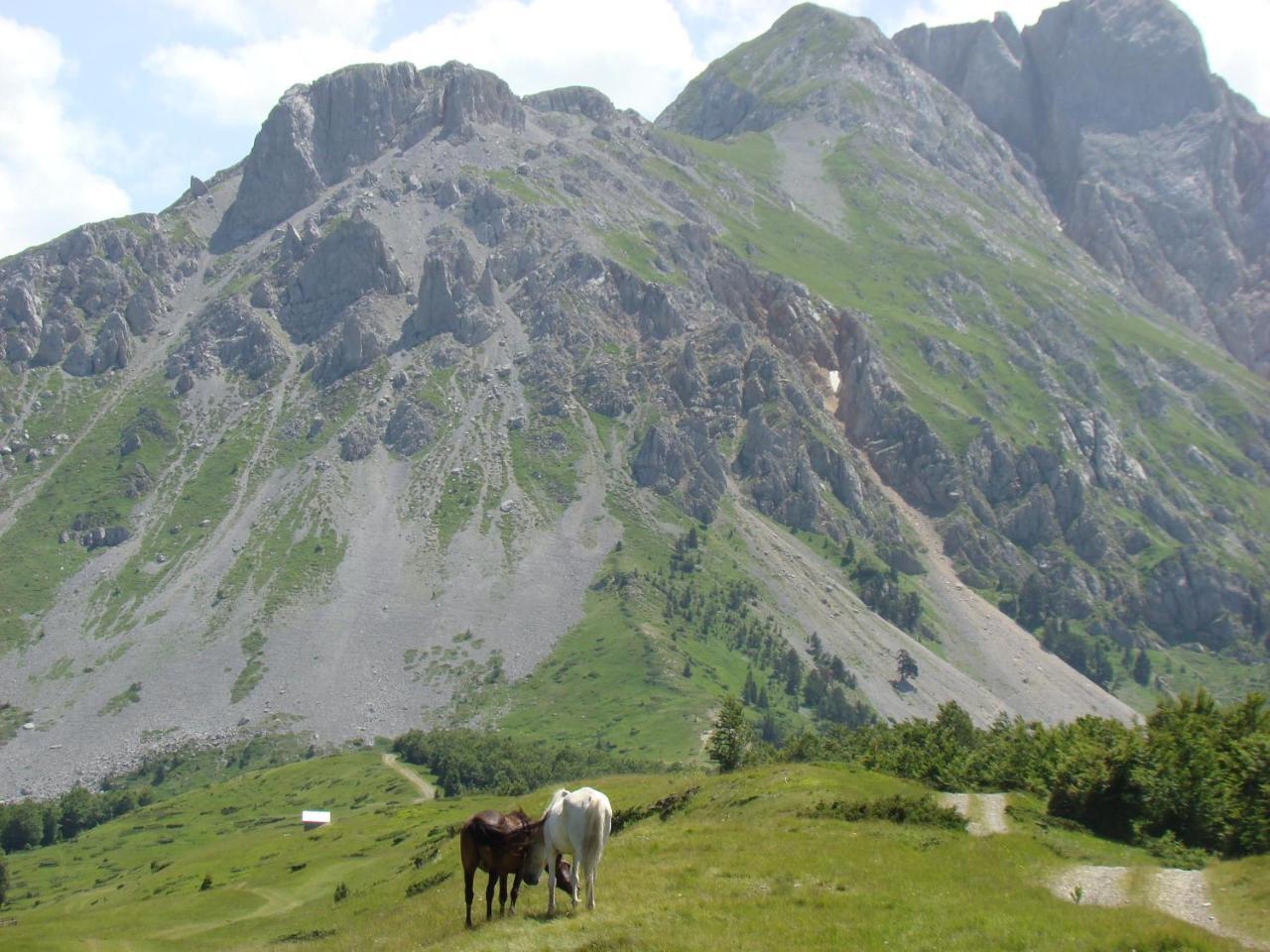 Komovi Eko Katun Andrijevica Exterior foto